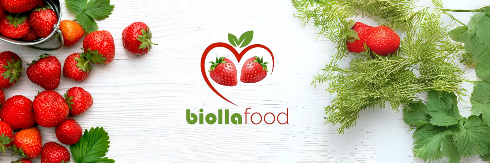 biollafood.ru