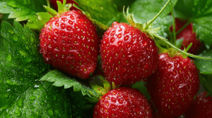 Клубника польза