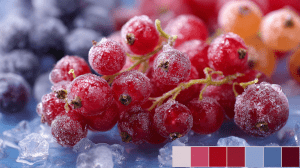 сублимированные ягоды